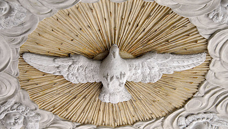 Fotoaufnahme der Decke der Spitalkirche in Bad Windsheim. In die Decke ist eine Taube mit ausgebreiteten Flügeln gemeißelt. Sie steht im Fokus einer strahlenden Sonne bzw. eines Heiligenscheins. An den Rändern wurden Wolken mit Engeln dargestellt.